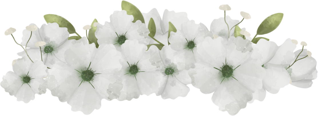 White Flower with Green Leaf Arrangement